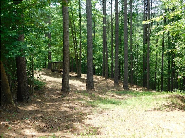 309 Broadleaf Ct, Salem, SC 29676 - photo 2