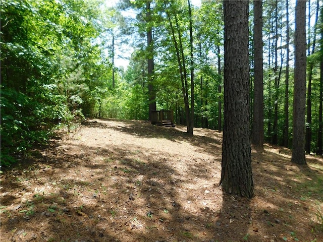 309 Broadleaf Ct, Salem, SC 29676 - photo 3