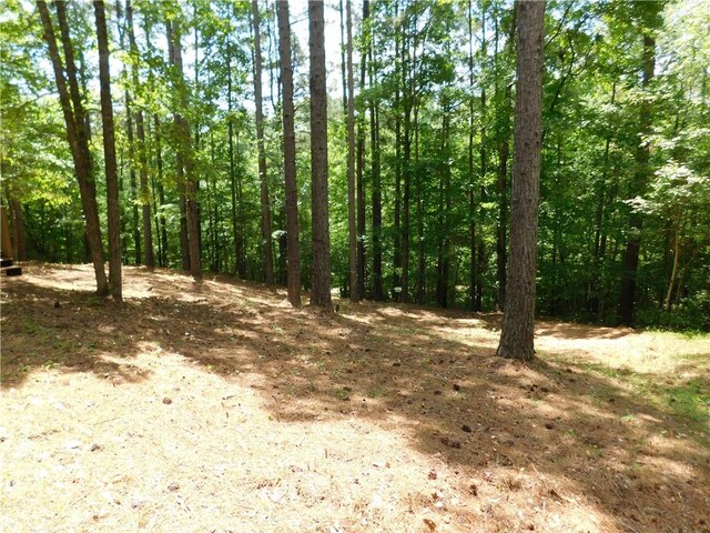 309 Broadleaf Ct, Salem, SC 29676 - photo 4