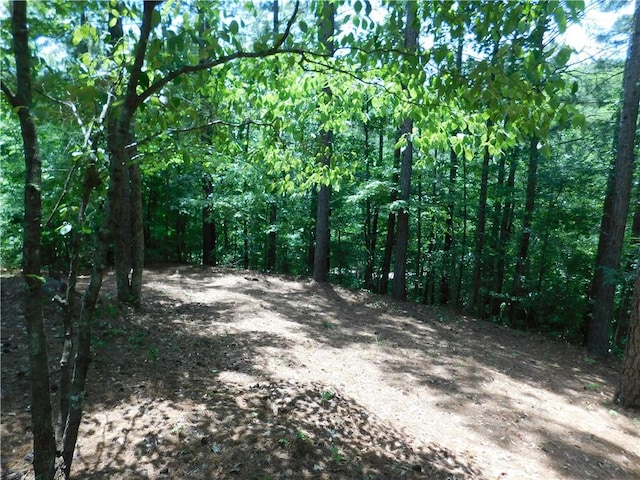 309 Broadleaf Ct, Salem, SC 29676 - photo 5