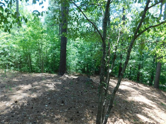309 Broadleaf Ct, Salem, SC 29676 - photo 6