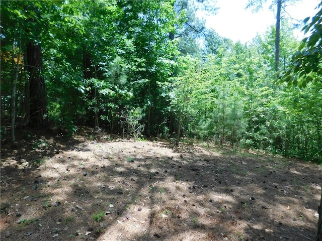 309 Broadleaf Ct, Salem, SC 29676 - photo 7