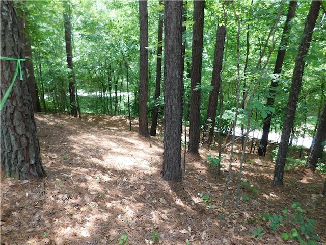 309 Broadleaf Ct, Salem, SC 29676 - photo 8