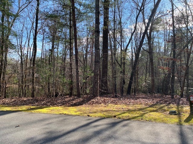 Listing photo 3 for LOT39 Turtlehead Dr, Salem SC 29676