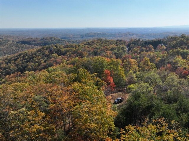 106 Ridge Pass Way, Landrum, SC 29356 - photo 8
