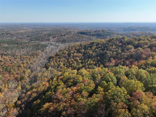 106 Ridge Pass Way, Landrum, SC 29356 - photo 10