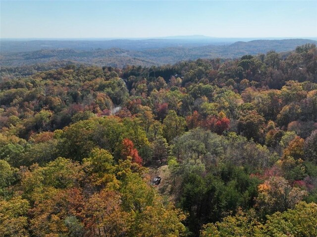 106 Ridge Pass Way, Landrum, SC 29356 - photo 13