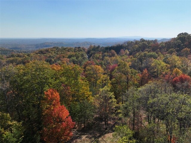 106 Ridge Pass Way, Landrum, SC 29356 - photo 14