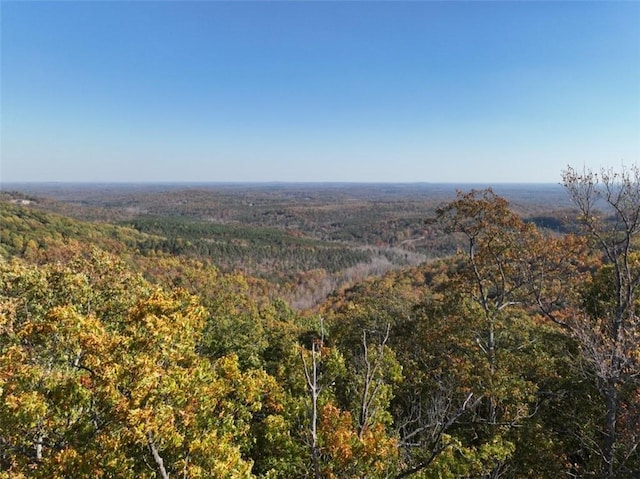 106 Ridge Pass Way, Landrum, SC 29356 - photo 15