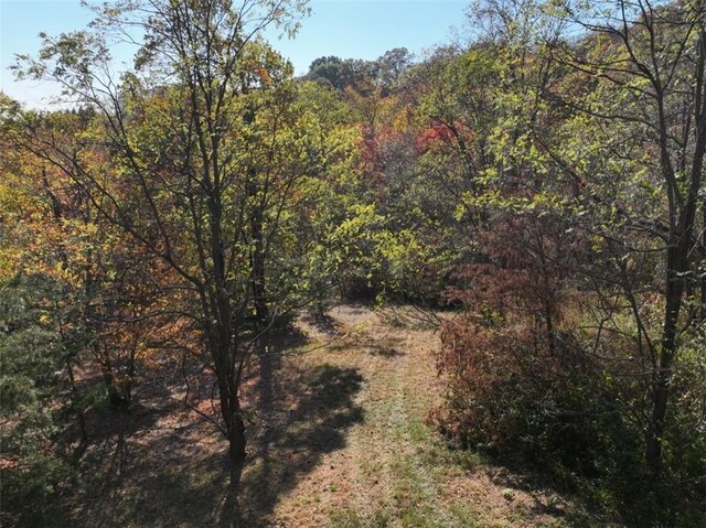106 Ridge Pass Way, Landrum, SC 29356 - photo 18
