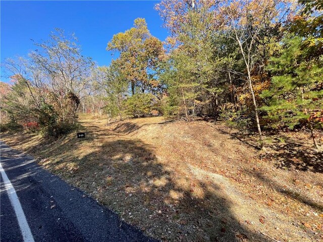 106 Ridge Pass Way, Landrum, SC 29356 - photo 2