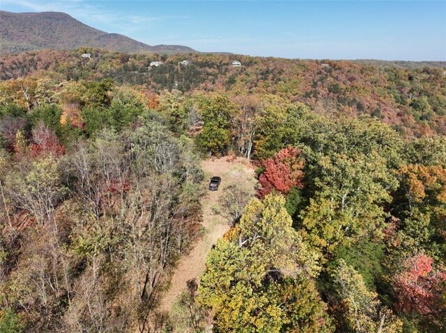 106 Ridge Pass Way, Landrum, SC 29356 - photo 6