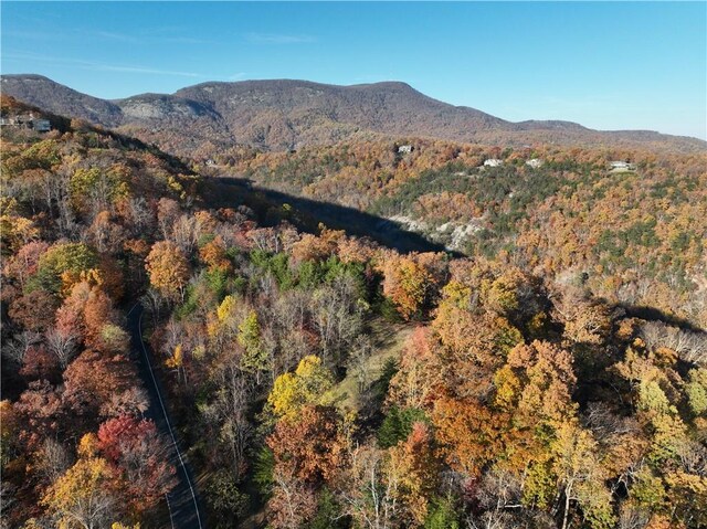 106 Ridge Pass Way, Landrum, SC 29356 - photo 20