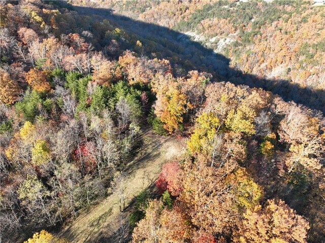 106 Ridge Pass Way, Landrum, SC 29356 - photo 21