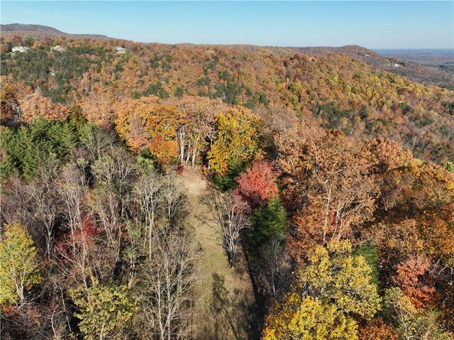 106 Ridge Pass Way, Landrum, SC 29356 - photo 23