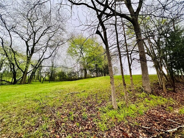10 Cross Dr, Abbeville, SC 29620 - photo 7
