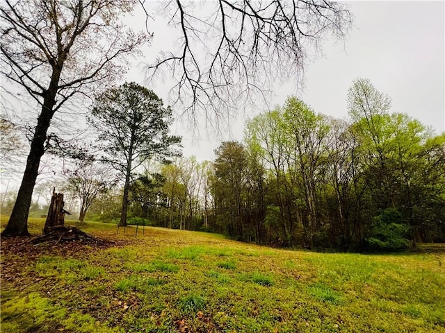 10 Cross Dr, Abbeville, SC 29620 - photo 12