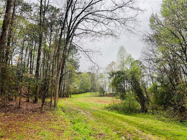 10 Cross Dr, Abbeville, SC 29620 - photo 14