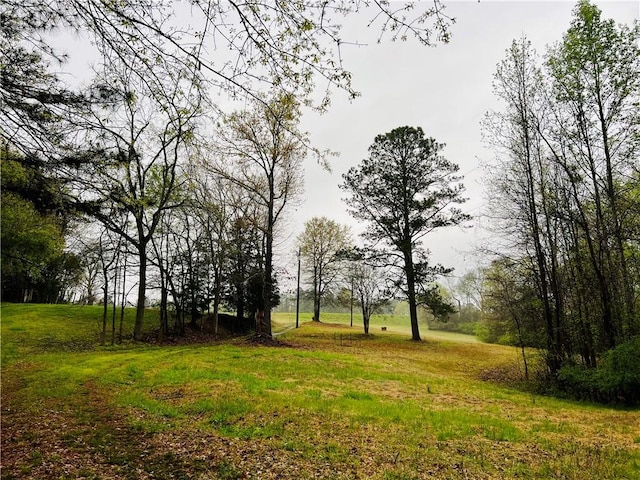 10 Cross Dr, Abbeville, SC 29620 - photo 15