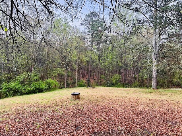 10 Cross Dr, Abbeville, SC 29620 - photo 19