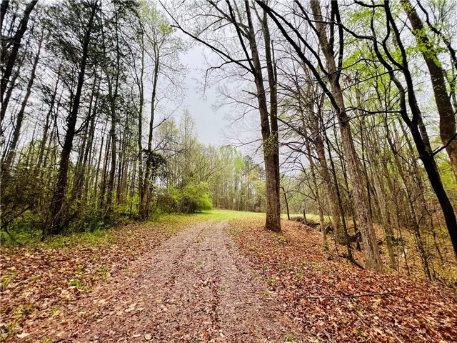 10 Cross Dr, Abbeville, SC 29620 - photo 1
