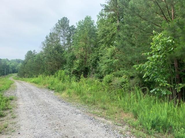 0 Wilson Creek Dr, Iva, SC 29655 - photo 7