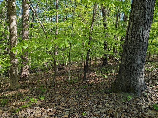 Listing photo 3 for 108 Boxwood Ln, Westminster SC 29693