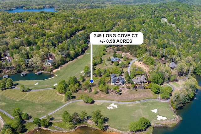 Listing photo 3 for 249 Long Cove Ct, Sunset SC 29685