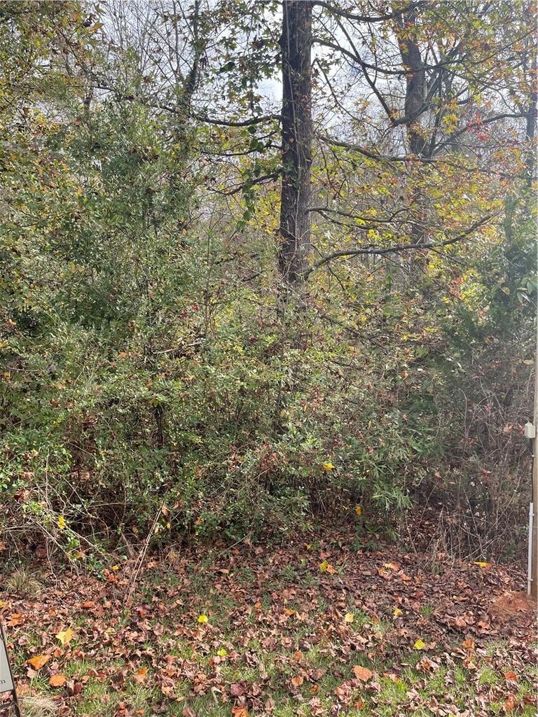 115 Arrowood Cir, Seneca, SC 29672 - photo 2