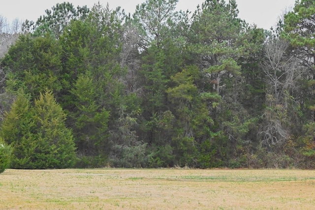 00 W Deadfall Rd, Greenwood, SC 29649 - photo 3