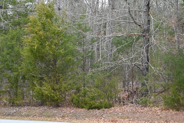 00 W Deadfall Rd, Greenwood, SC 29649 - photo 4
