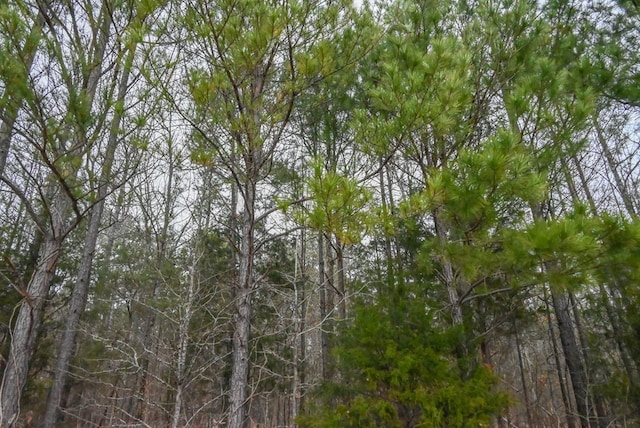 00 W Deadfall Rd, Greenwood, SC 29649 - photo 6