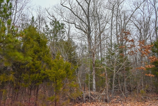 00 W Deadfall Rd, Greenwood, SC 29649 - photo 7