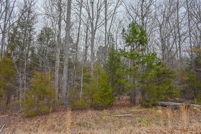 00 W Deadfall Rd, Greenwood, SC 29649 - photo 8