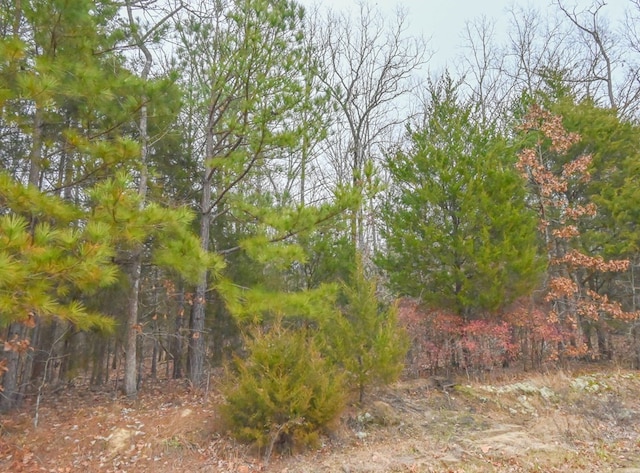 00 W Deadfall Rd, Greenwood, SC 29649 - photo 10