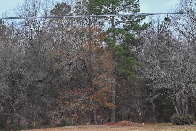 00 W Deadfall Rd, Greenwood, SC 29649 - photo 11