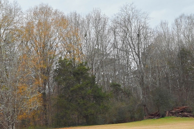 00 W Deadfall Rd, Greenwood, SC 29649 - photo 12