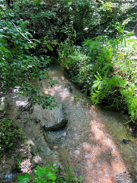 00 Wolf Creek Rd, Pickens, SC 29671 - photo 1