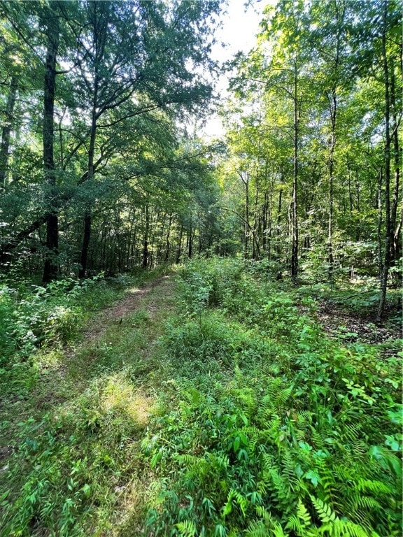 Listing photo 2 for 00 Wolf Creek Rd, Pickens SC 29671