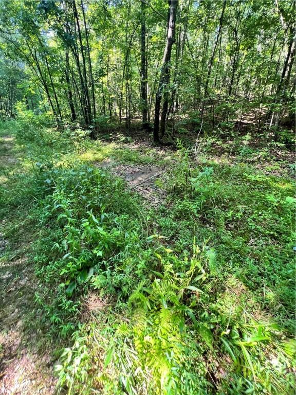 00 Wolf Creek Rd, Pickens, SC 29671 - photo 4
