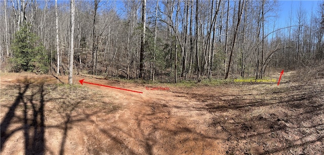 Listing photo 3 for 00 Wolf Creek Rd, Pickens SC 29671