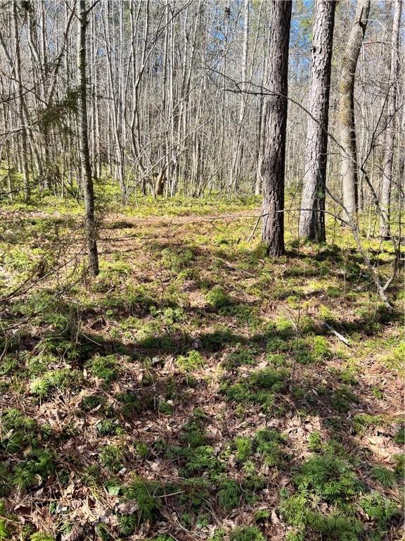 00 Wolf Creek Rd, Pickens, SC 29671 - photo 7