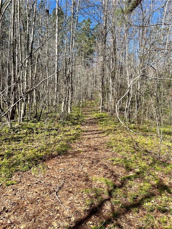 00 Wolf Creek Rd, Pickens, SC 29671 - photo 8