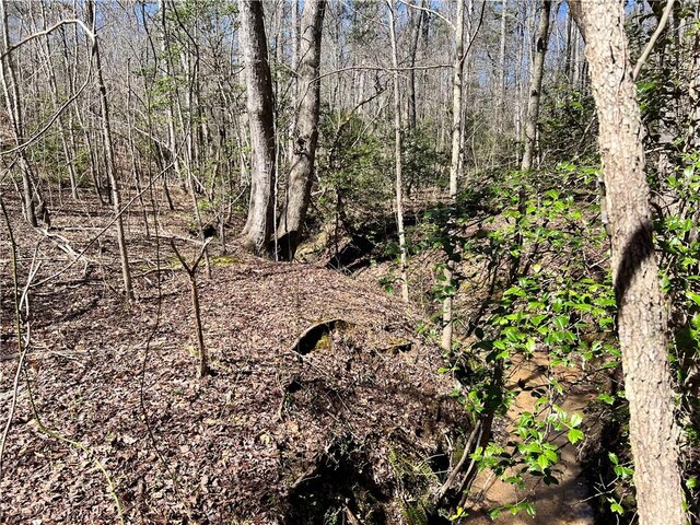 00 Wolf Creek Rd, Pickens, SC 29671 - photo 9