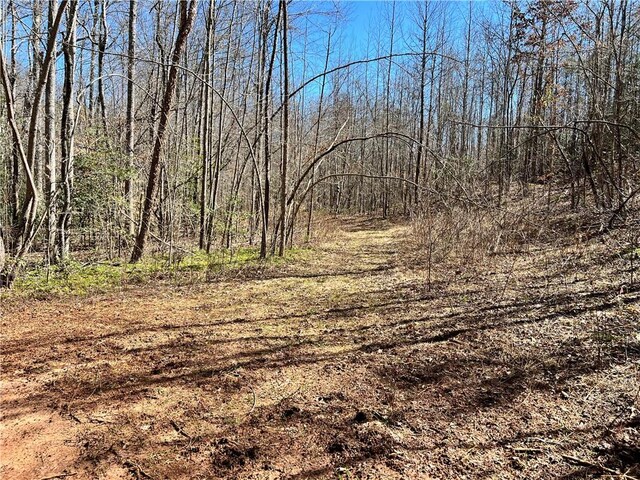 00 Wolf Creek Rd, Pickens, SC 29671 - photo 10
