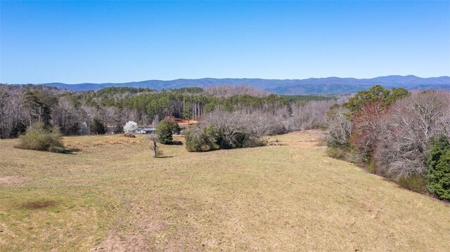 170 N Little River Rd, Salem, SC 29676 - photo 6