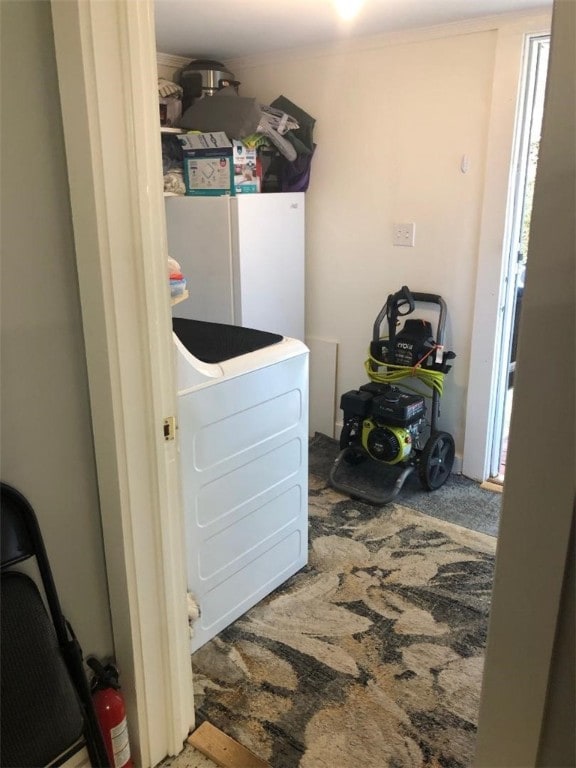 laundry room featuring carpet flooring