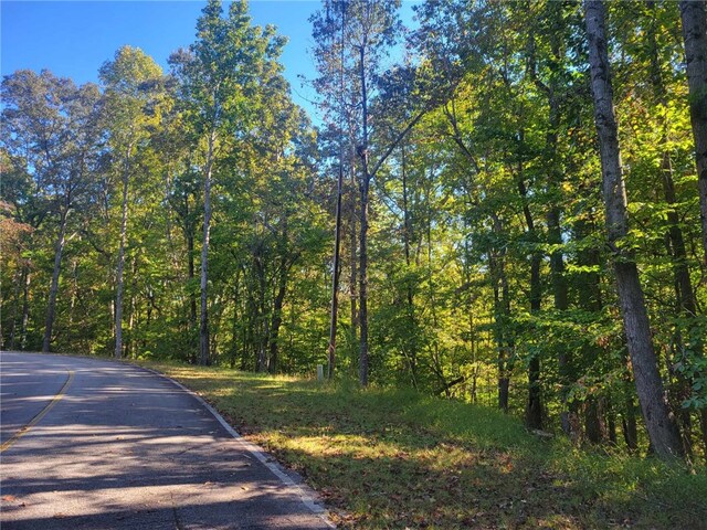 LOT228 Boxwood Ln, Westminster, SC 29693 - photo 3
