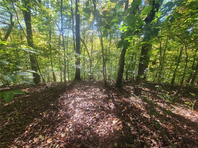 LOT228 Boxwood Ln, Westminster, SC 29693 - photo 4