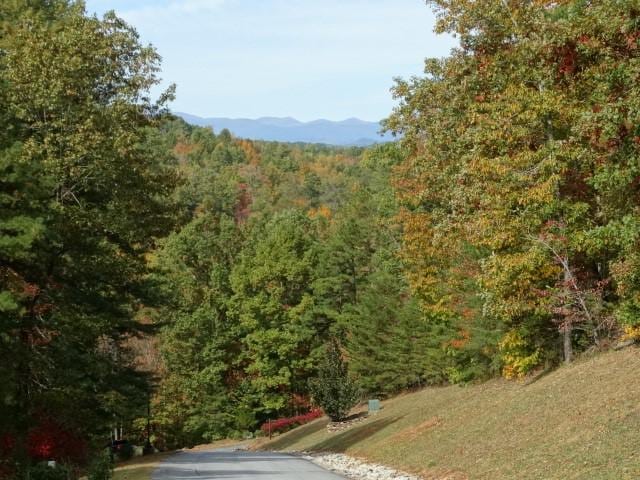 210 Cliffside Trl, Pickens, SC 29671 - photo 33